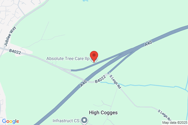 Absolute Tree Care
