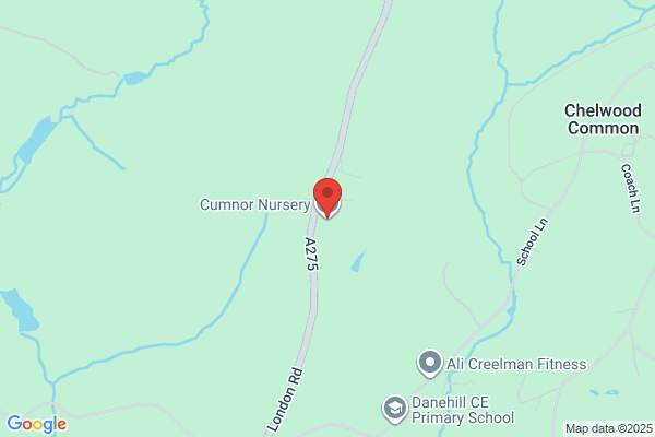 Cumnor House School