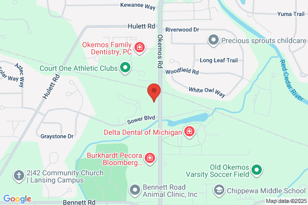 GUTTERFLOW