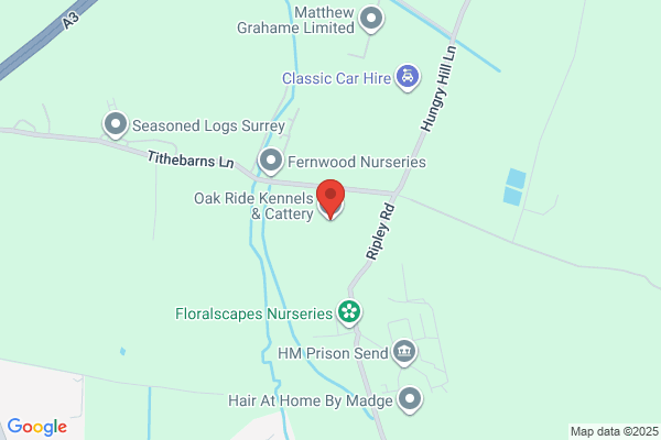 Avonmore Pet Hotel