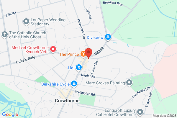 Camberley Auto Factors