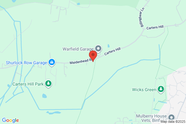 Binfield Dog Rescue