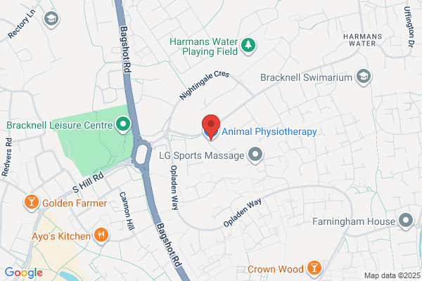 Baldwyn Animal Physiotherapy