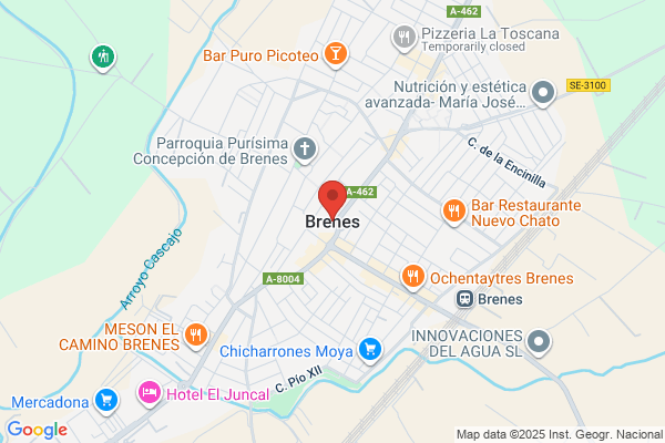 Brenes & Son