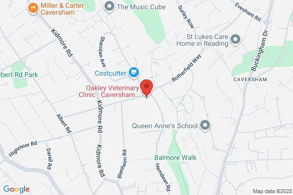 Active Vetcare Ltd
