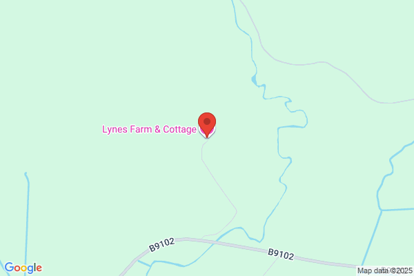 Lynes Farm Cattery