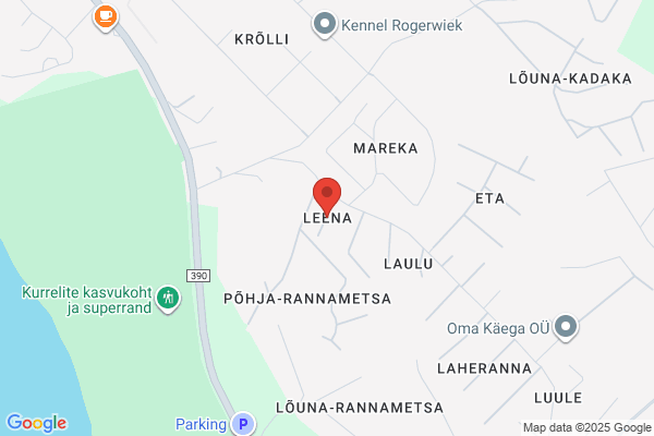 Leena
