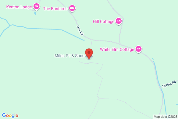 P I Miles & Sons