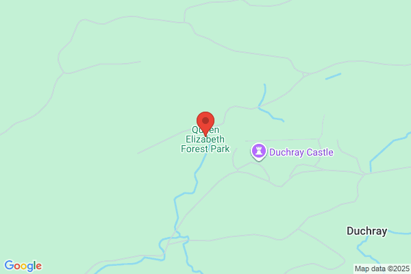 Forestry Commission