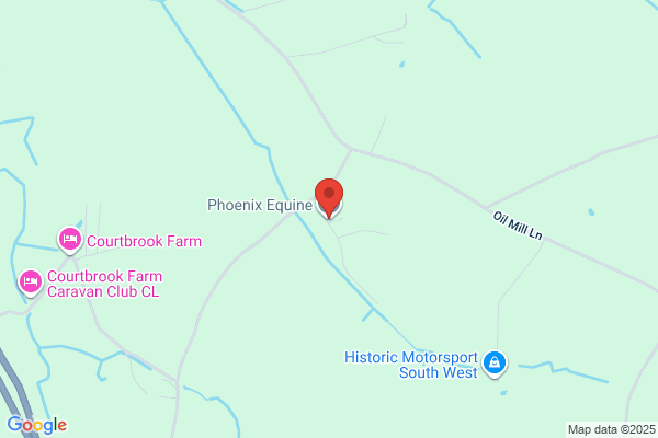 Phoenix Equine