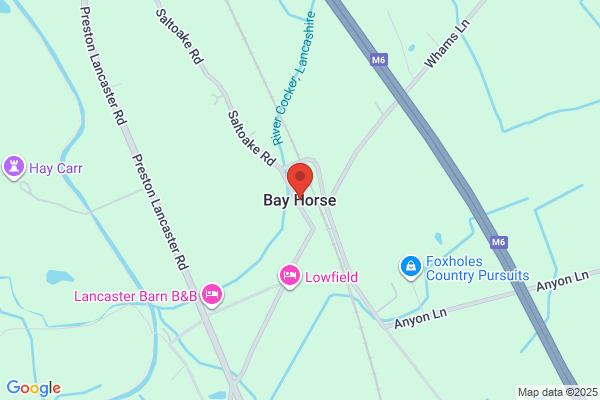 Bay Horse