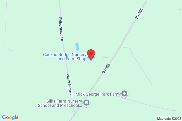 Cuckoo Spit Nurseries