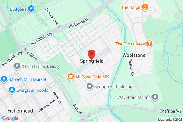 The Springfield