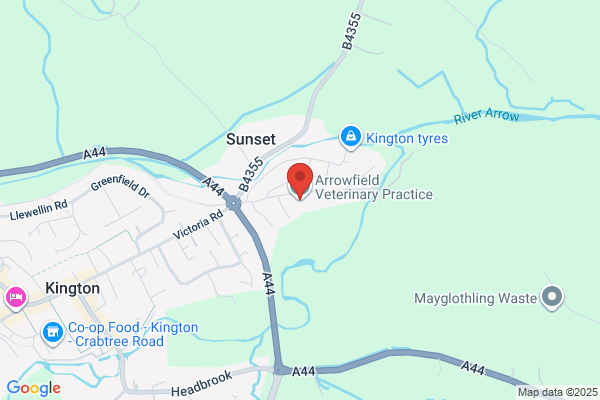 Arrowfield Veterinary Group