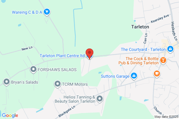 Tarleton Specimen Plants