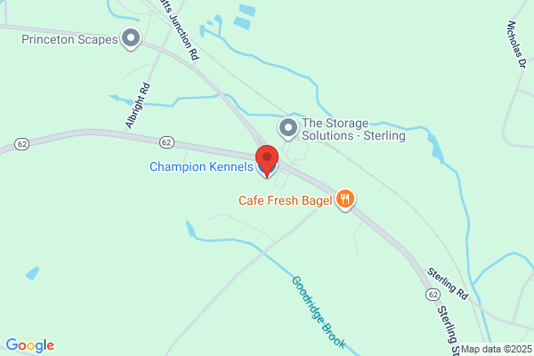 Champion Boarding Kennels
