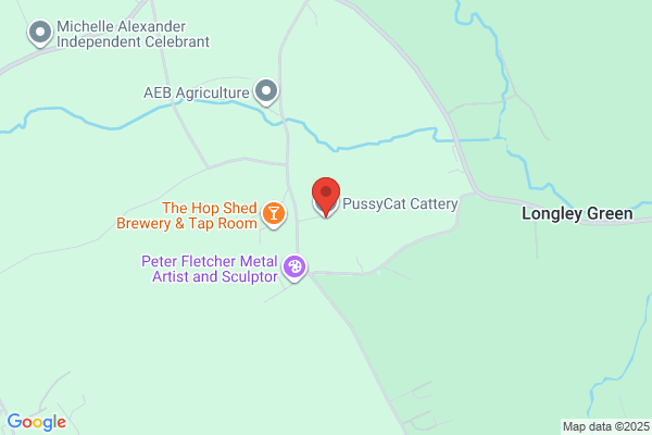 Southleigh Cattery