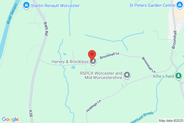Ansteys Of Worcester