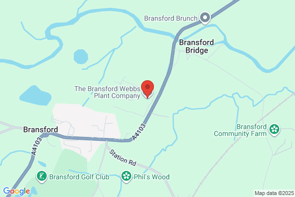 Bransford Garden Plants
