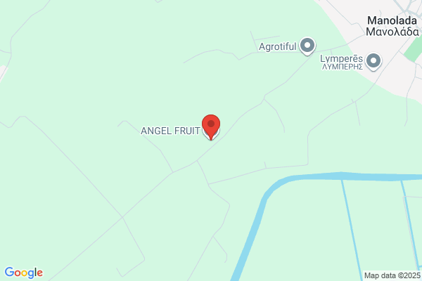 Angel Fruits