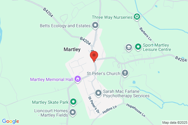 The Crown Of Martley