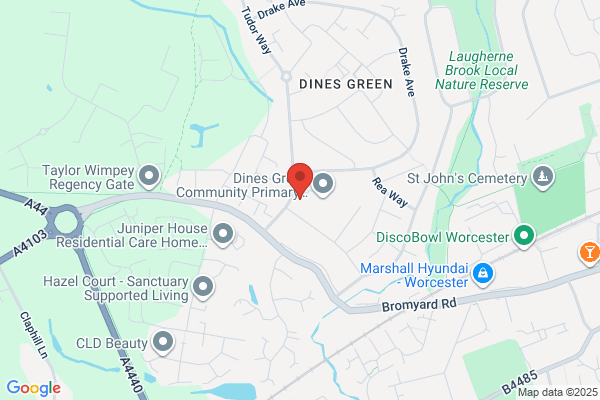 Dines Green Primary School