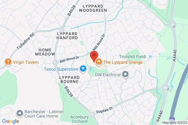 The Lyppards Fryer