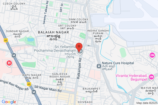 online job support from india