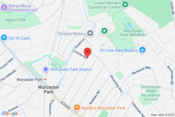 alves property domestic cleaner