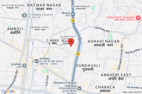 I J Fernandes & Associates