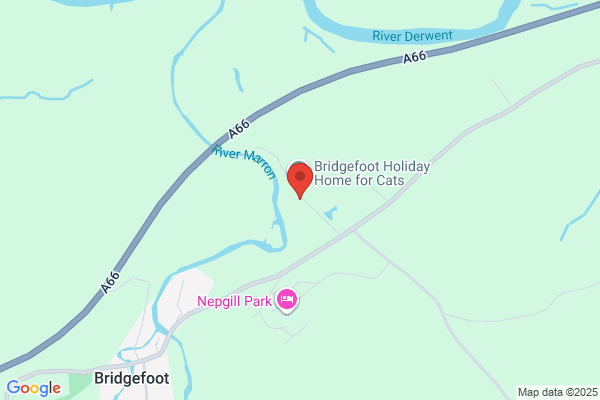 Bridgefoot Holiday Home For Cats