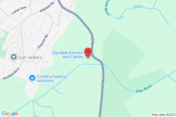 Glyndale Kennels