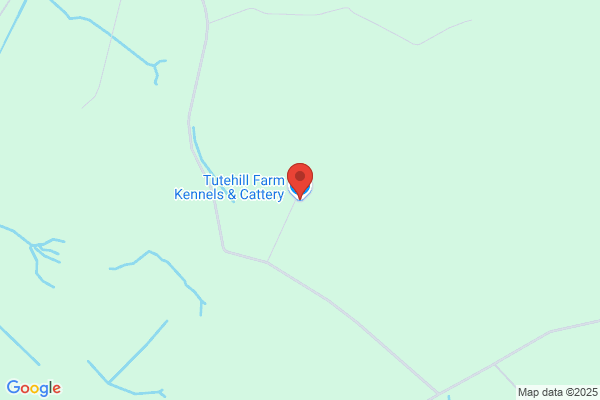 Tutehill Farm Kennels & Cattery