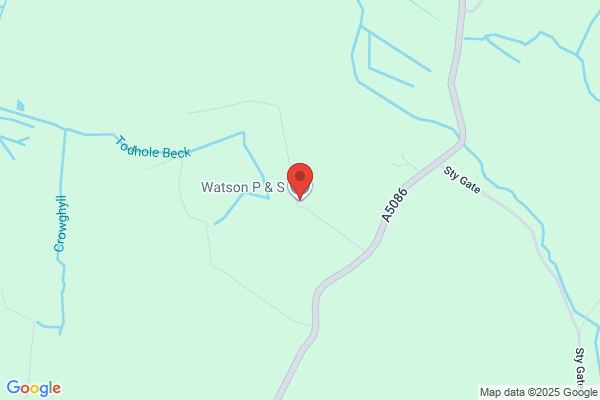 P Watson