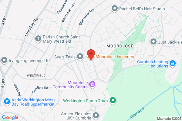 Moorclose Fisheries