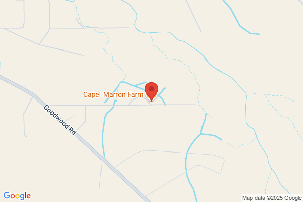 Marron Fish Farm