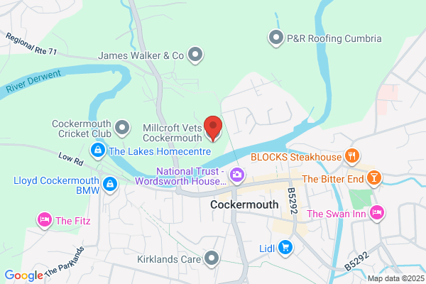 Millcroft Veterinary Group