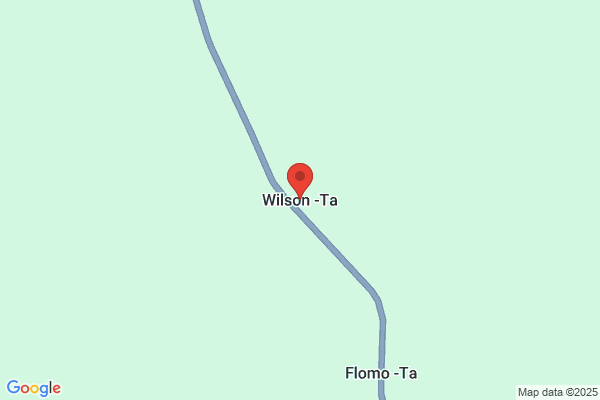 T A Wilson