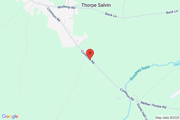 Thorpe Salvin Nursery