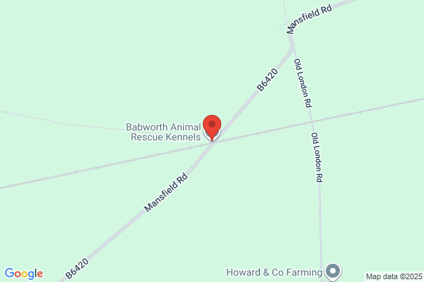 Kilton Pet Rescue