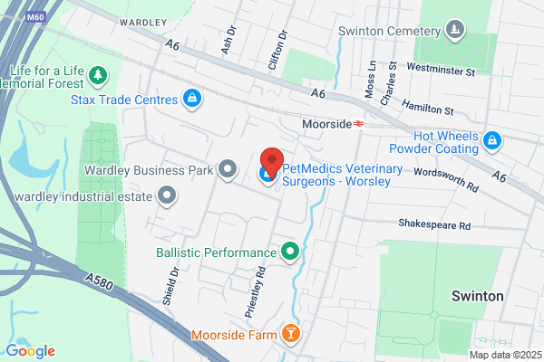 Manchester Veterinary Specialists
