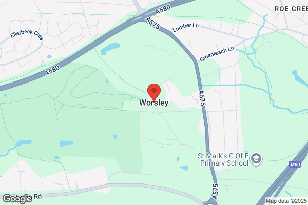 Fur Babies Dog Walking Worsley