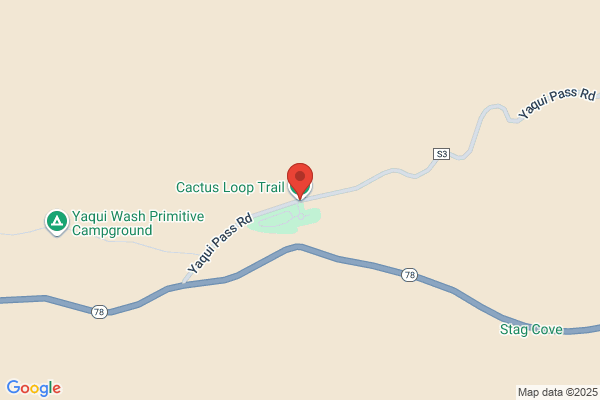 Cactus Trail