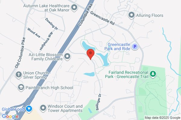 Steward And Ballinger Services