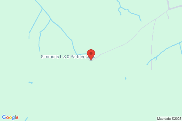 L S Simmons & Partners