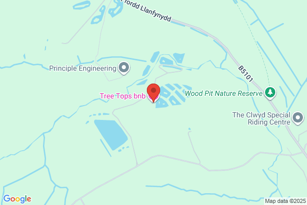 Tree Tops Fly Fishery