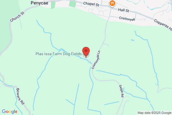 Glenwyn Boarding Kennels