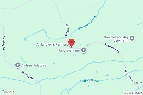 A Handley & Partners