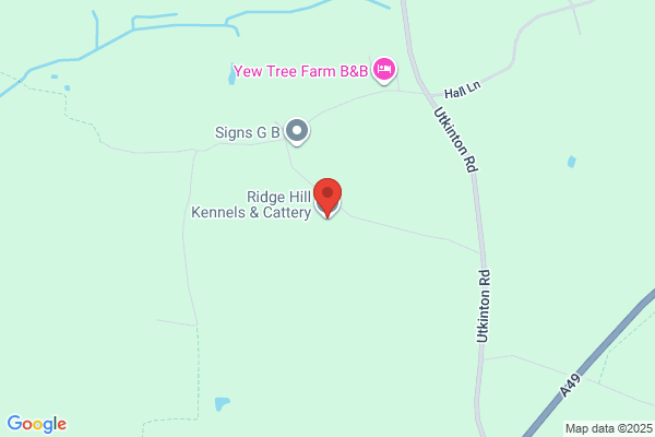Hollies Kennels And Cattery