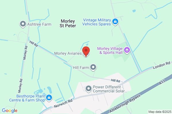 Morley Aviaries